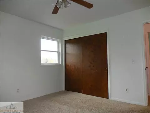1778 E Webb Rd, Dewitt, MI 48820 photo 22