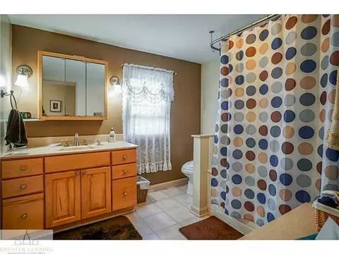 11377 E River Dr, Dewitt, MI 48820 photo 17