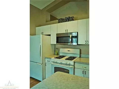1250 Calumet, Dewitt, MI 48820 photo 12
