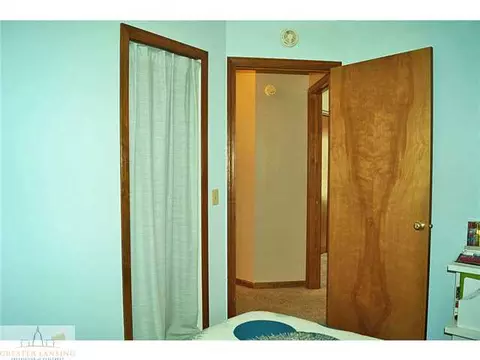 1250 Calumet, Dewitt, MI 48820 photo 17