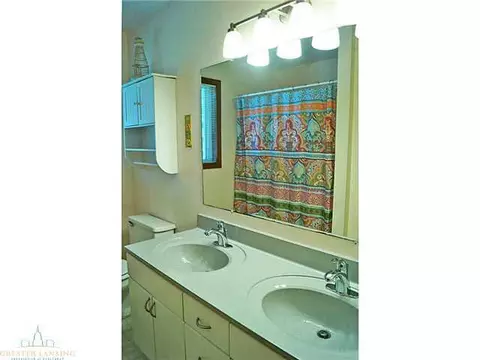 1250 Calumet, Dewitt, MI 48820 photo 18