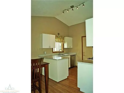 1250 Calumet, Dewitt, MI 48820 photo 10