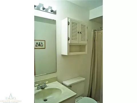 1250 Calumet, Dewitt, MI 48820 photo 22