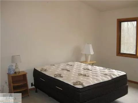 1109 Windreef Cir, Okemos, MI 48864 photo 17