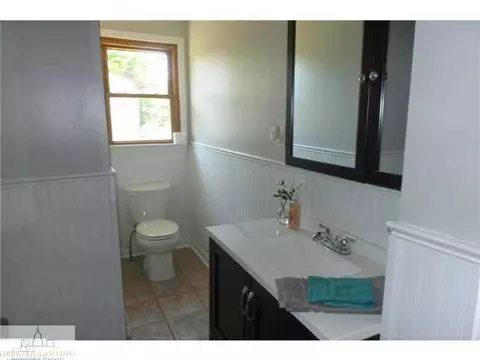 112 Webb Dr, Dewitt, MI 48820 photo 17
