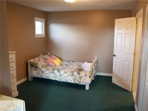12520 Herbison Rd, Bath, MI 48808 photo 14