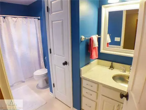 1388 Lacosta Dr, Dewitt, MI 48820 photo 15