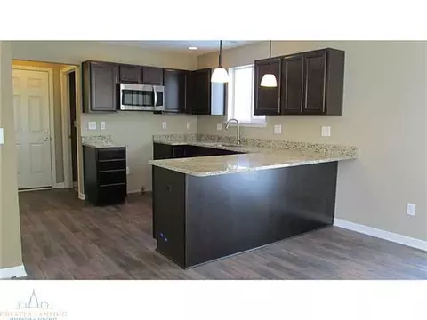 8565 Jacaranda, Dimondale, MI 48821 photo 11