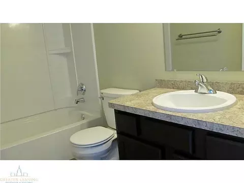 8565 Jacaranda, Dimondale, MI 48821 photo 22