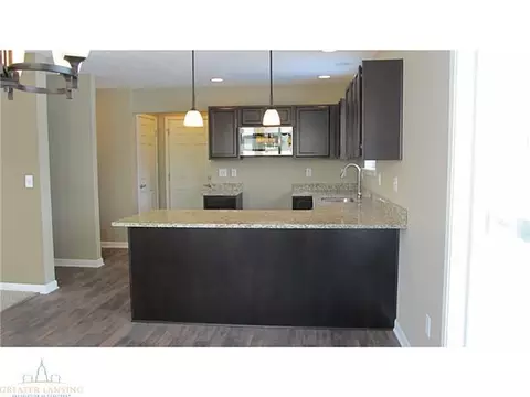 8565 Jacaranda, Dimondale, MI 48821 photo 10