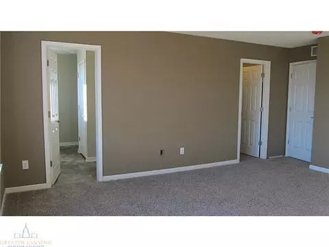 8565 Jacaranda, Dimondale, MI 48821 photo 3