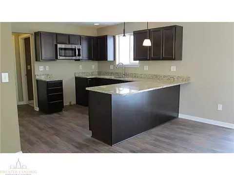 8565 Jacaranda, Dimondale, MI 48821 photo 17