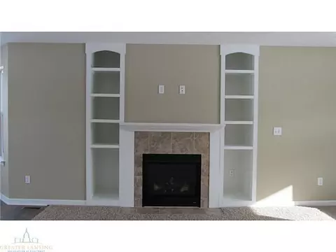 8565 Jacaranda, Dimondale, MI 48821 photo 14