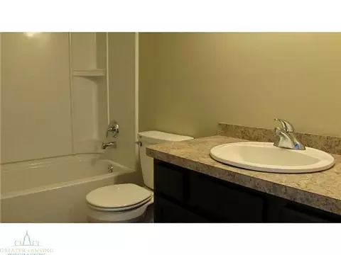 8565 Jacaranda, Dimondale, MI 48821 photo 9