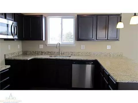 8565 Jacaranda, Dimondale, MI 48821 photo 21