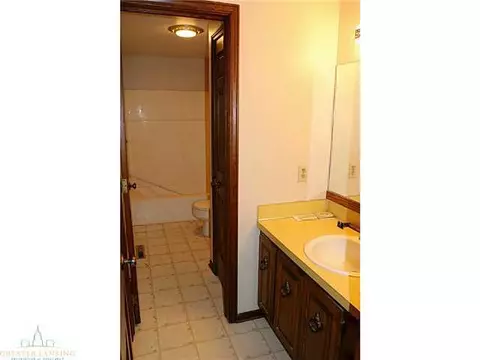 200 Manchester, Dewitt, MI 48820 photo 10
