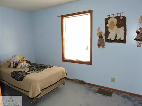 12201 S Francis Rd, Dewitt, MI 48820 photo 14