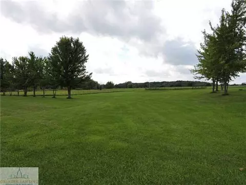 12201 S Francis Rd, Dewitt, MI 48820 photo 23