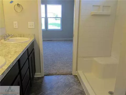 6725 Thunder Ln, Lansing, MI 48906 photo 23