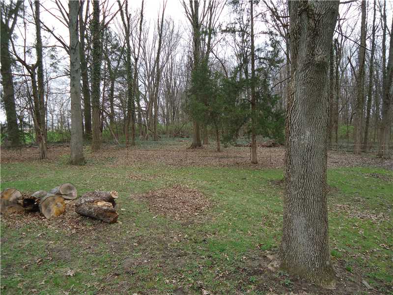 4695 E 75, Franklin, IN 46131 photo 12