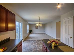 8399 Catchfly Dr, Plainfield, IN 46168 photo 8