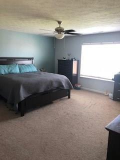 1678 Huntzinger Blvd, Pendleton, IN 46064 photo 12