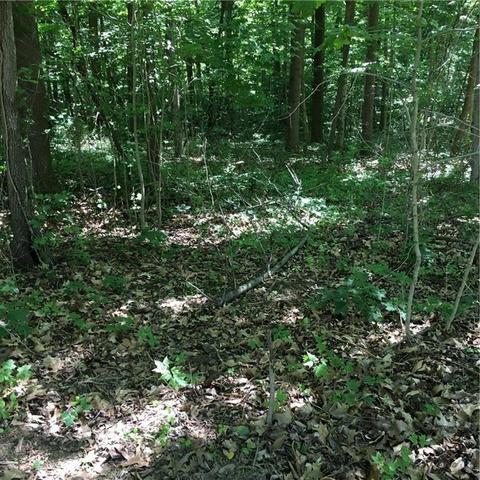 3407 Hancock Ridge Rd, Martinsville, IN 46151