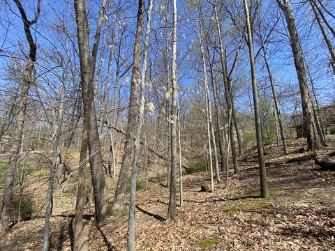 0 E Warwick Rd, Martinsville, IN 46151