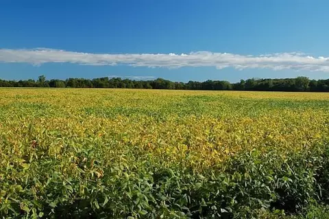 00 N County Road 700 W, Mulberry, IN 46058