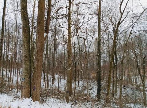 Tbd N Legion Road, Solsberry, IN 47459