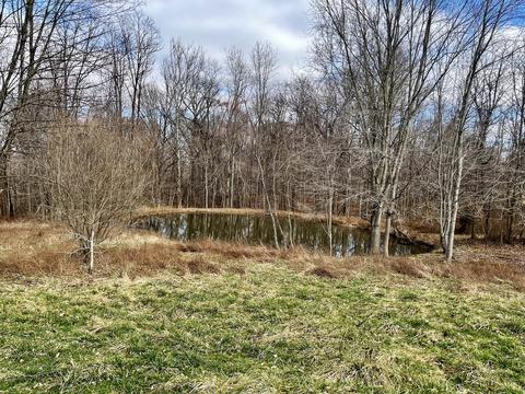 4176 Parrish Rd, Freedom, IN 47431