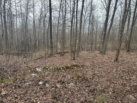 0 Sinclair West Rd, Eckerty, IN 47116 photo 7