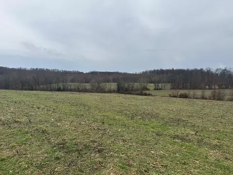 0 Sinclair West Rd, Eckerty, IN 47116 photo 28