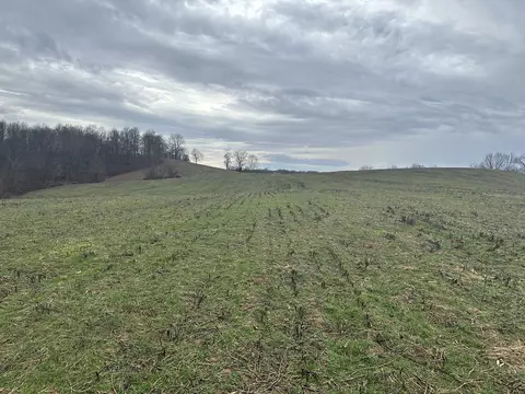 0 Sinclair West Rd, Eckerty, IN 47116 photo 26