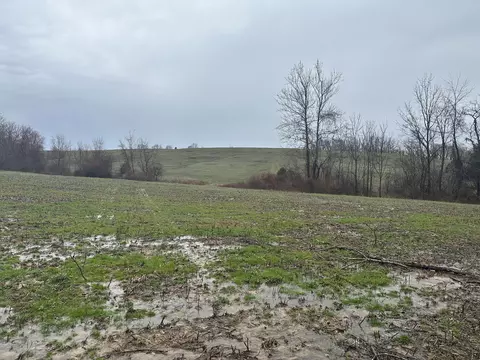 0 Sinclair West Rd, Eckerty, IN 47116 photo 29