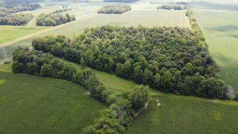 10636 W 300 S County Road 1100 W, Parker City, IN 47368