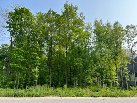 10680 Challis Mill Ct, Zionsville, IN 46077