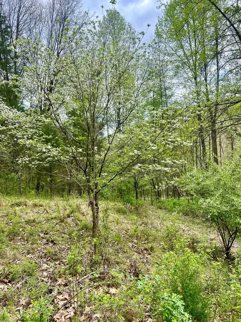 4695 E Stipp Rd, Bloomington, IN 47401 photo 15