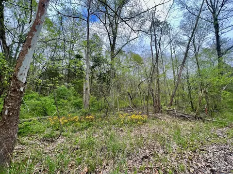 4695 E Stipp Rd, Bloomington, IN 47401 photo 3