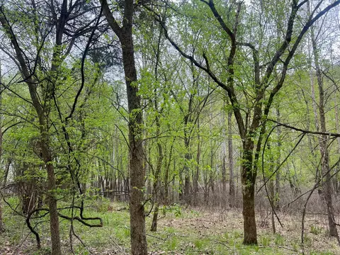 4695 E Stipp Rd, Bloomington, IN 47401 photo 7