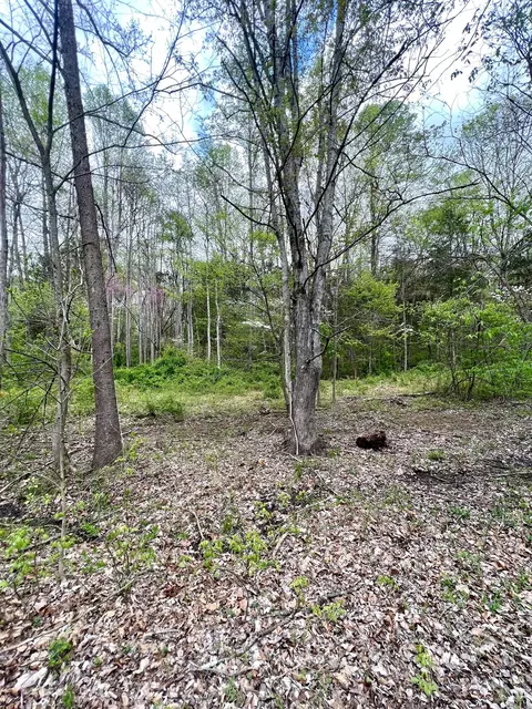 4695 E Stipp Rd, Bloomington, IN 47401 photo 6