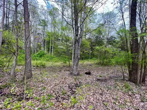 4695 E Stipp Rd, Bloomington, IN 47401 photo 5