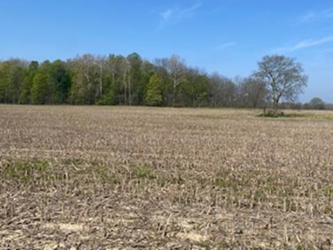 5406 S 400 W, New Palestine, IN 46163