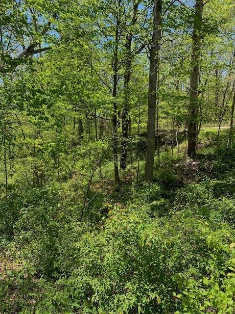6011 And 5962 Railroad Rd, Morgantown, IN 46160