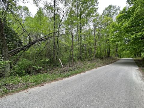 N/a Fiscus Cemetery Road, Coal City, IN 47427