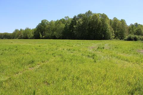 00 Buckskin Rd, Poland, IN 47868