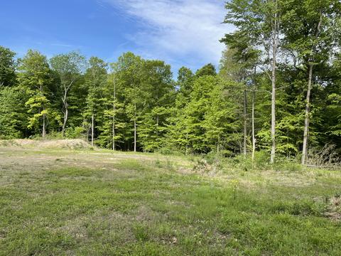 1828 Hinson Rd, Martinsville, IN 46151
