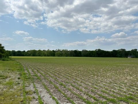 0 E Us Highway 136, Hillsboro, IN 47949