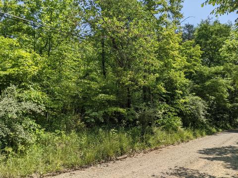 X Cottonwood Road, Morgantown, IN 46160