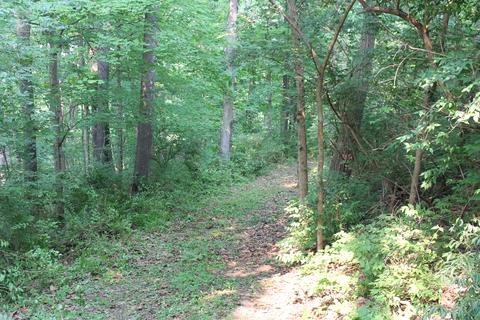 3626 N Upper Birdie Galyan Rd, Bloomington, IN 47408